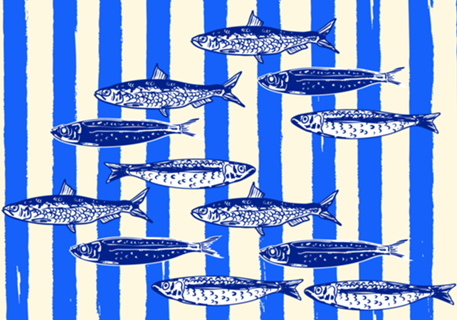 Sardinhas Nadando nas Listras Azuis Náuticas