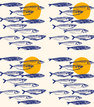 Arte Minimalista de Cavala Vintage ao Pôr do Sol