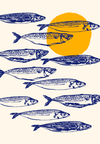 Arte Minimalista de Cavala Vintage ao Pôr do Sol