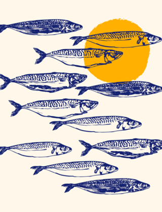 Arte Minimalista de Cavala Vintage ao Pôr do Sol