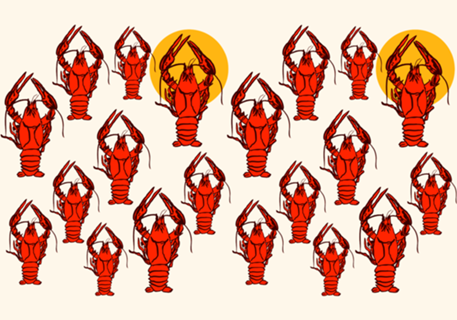Crawfish Sunset Coastal Retro Seafood Aesthetic