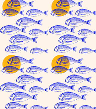 Minimalist Dorado Fish Sunset Coastal Aesthetic