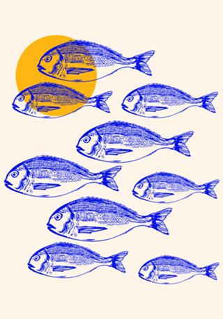 Minimalist Dorado Fish Sunset Coastal Aesthetic