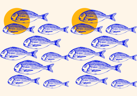 Minimalist Dorado Fish Sunset Coastal Aesthetic