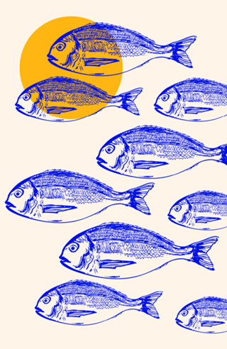 Minimalist Dorado Fish Sunset Coastal Aesthetic