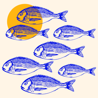 Minimalist Dorado Fish Sunset Coastal Aesthetic