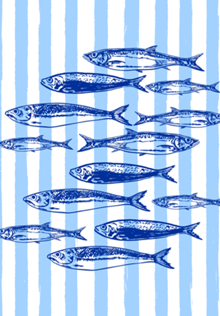 Estética Listras Azuis Sardinhas Costeiras