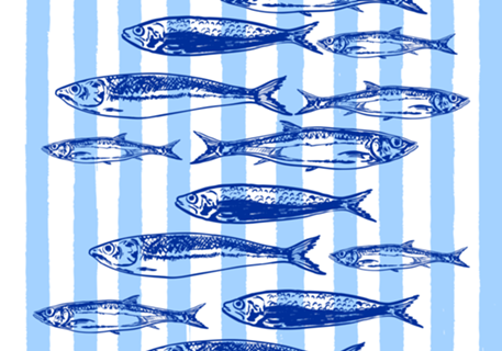 Estética Listras Azuis Sardinhas Costeiras