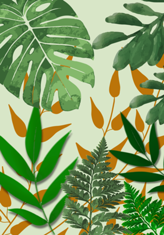 Natureza
