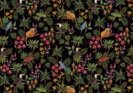 Universo Tropical