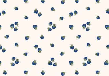 Blueberry