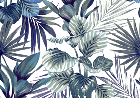 Plantas