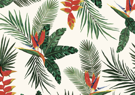 Plantas Exóticas