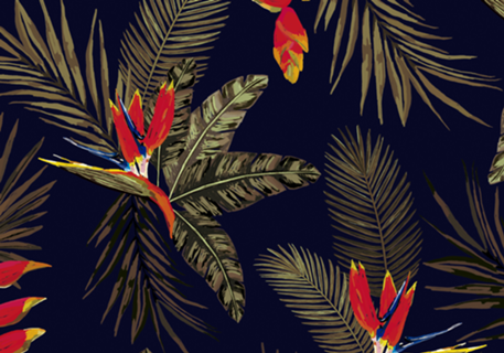 Tropical