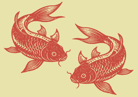 Carpa em Xilogravura