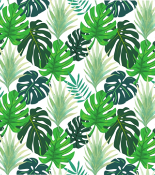 Estampa Tropical Folhas Costela de Adão
