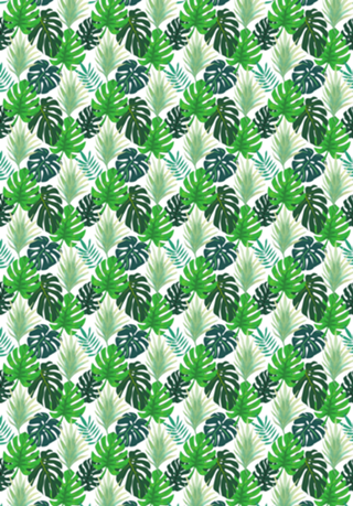 Estampa Tropical Folhas Costela de Adão