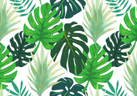 Estampa Tropical Folhas Costela de Adão