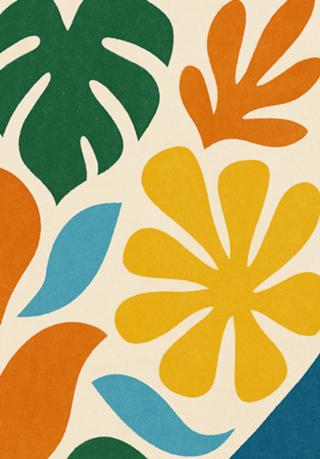 Raízes Tropicais - formas e cores
