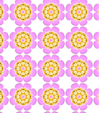 MInúscula Flor Rosa