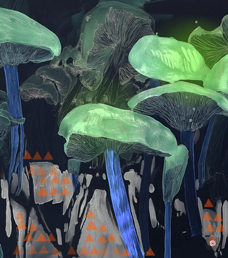 Amanita