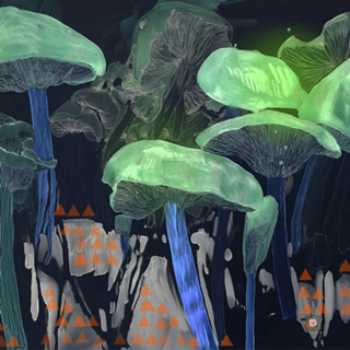 Amanita