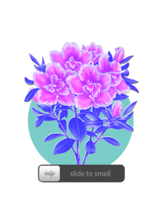 SLIDE TO SMELL