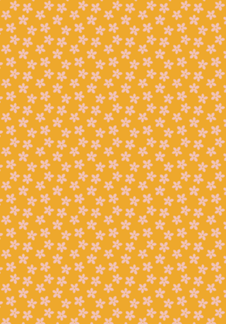 Flor de Laranjeira