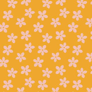 Flor de Laranjeira