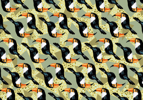 Tucanos