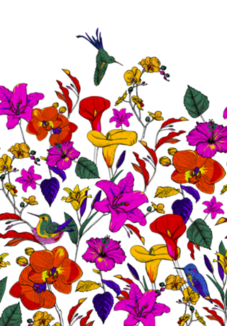 Jardim