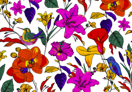 Jardim