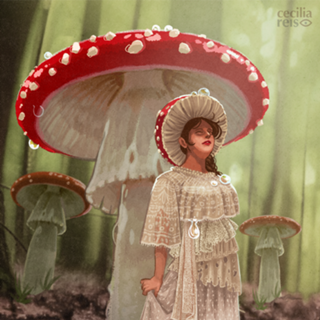 Amanita Mocinha