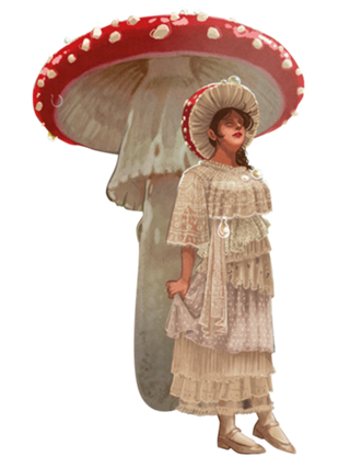 Amanita Mocinha