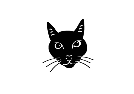 Gato iannis