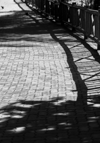 Sombras na Calçada