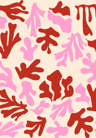 Padrão Matisse Rosa e Vermelho