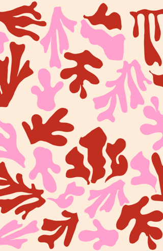 Padrão Matisse Rosa e Vermelho