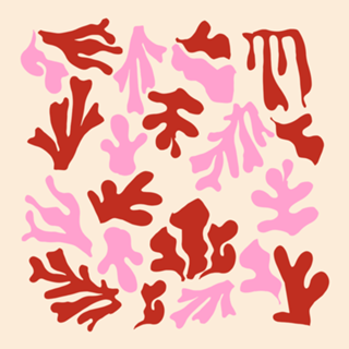 Padrão Matisse Rosa e Vermelho
