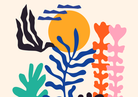 Botânico Boho Bright Inspirado em Matisse