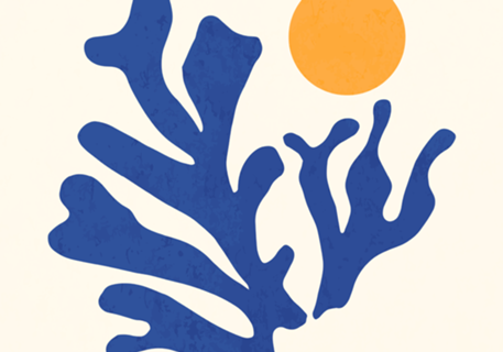 Matisse Sol Ilustrado Botânico Abstrato