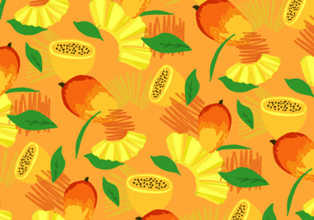 Solstício tropical