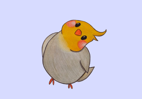 Calopsita_bird_cute