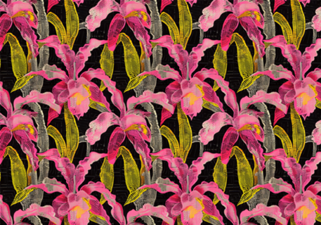Orquídias tropicais