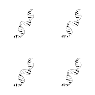 DNA Piano