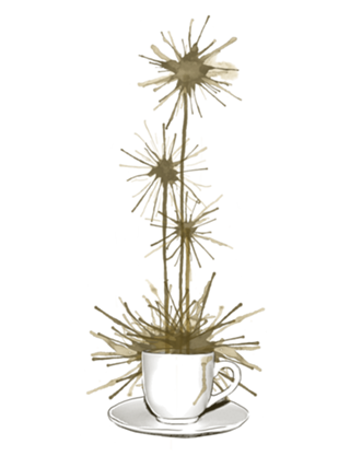 Midnight Flower