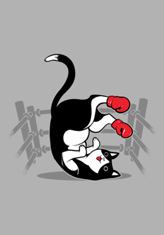 Boxer Cat
