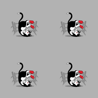 Boxer Cat