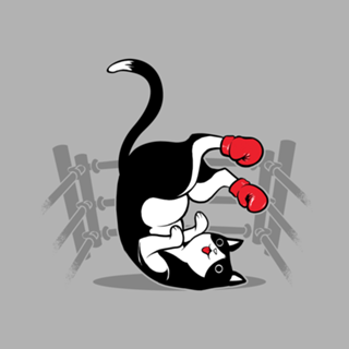 Boxer Cat