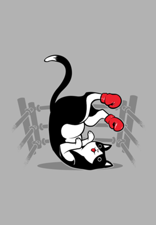Boxer Cat